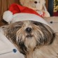 Las Navidades del 2012